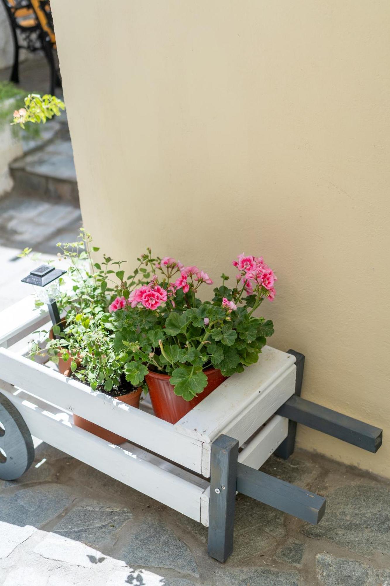 Spacious Home With Yard, Mytilene Lesvos Extérieur photo
