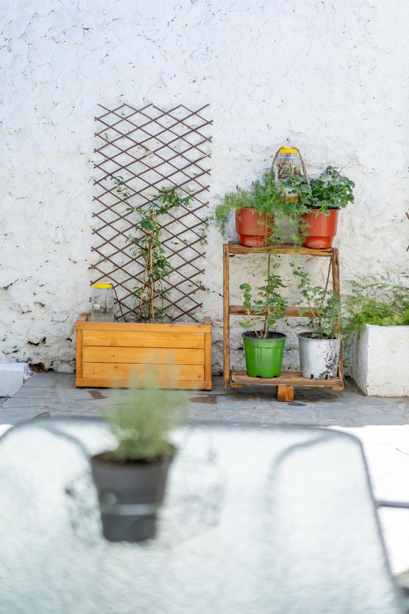 Spacious Home With Yard, Mytilene Lesvos Extérieur photo