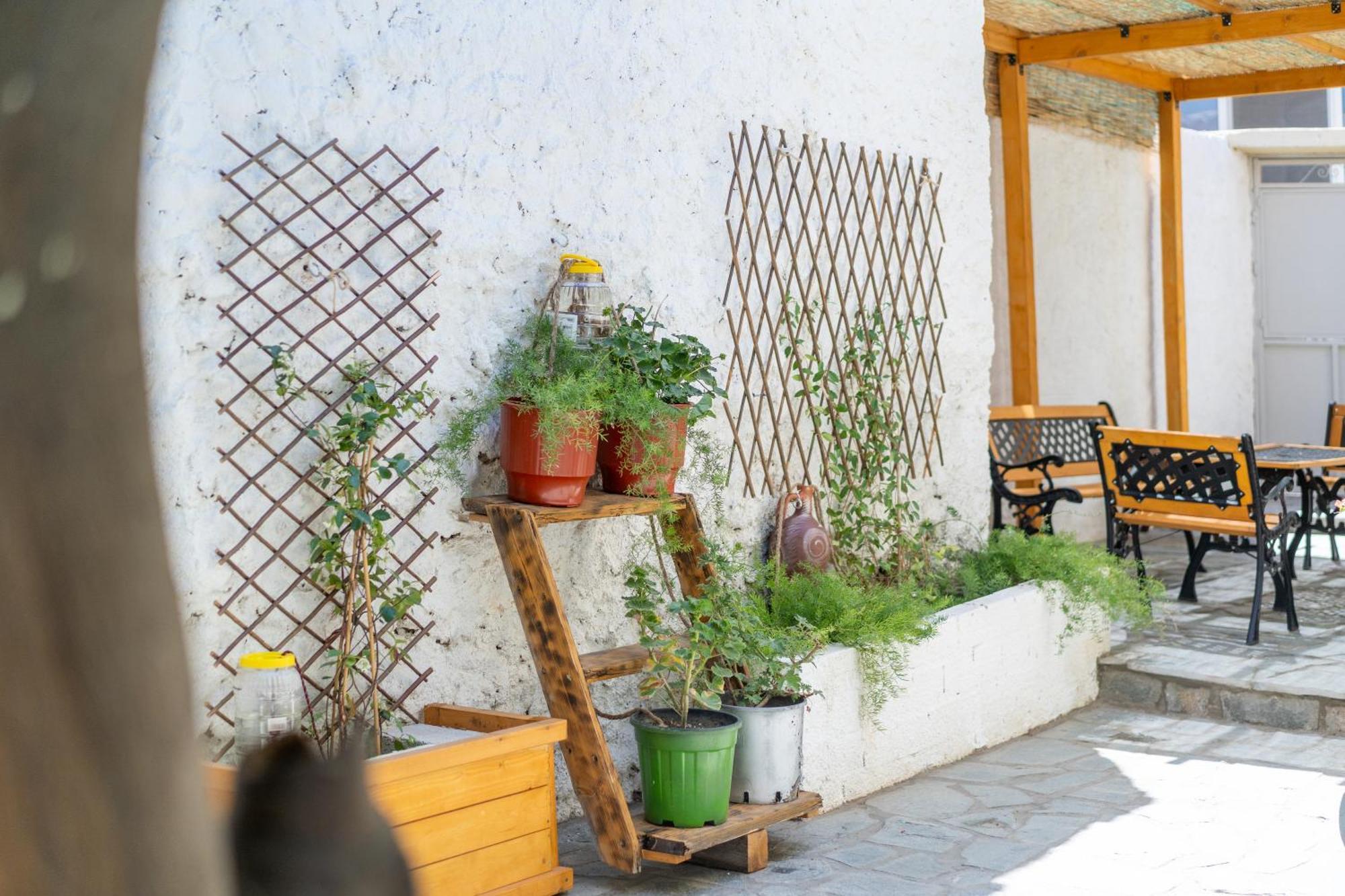 Spacious Home With Yard, Mytilene Lesvos Extérieur photo